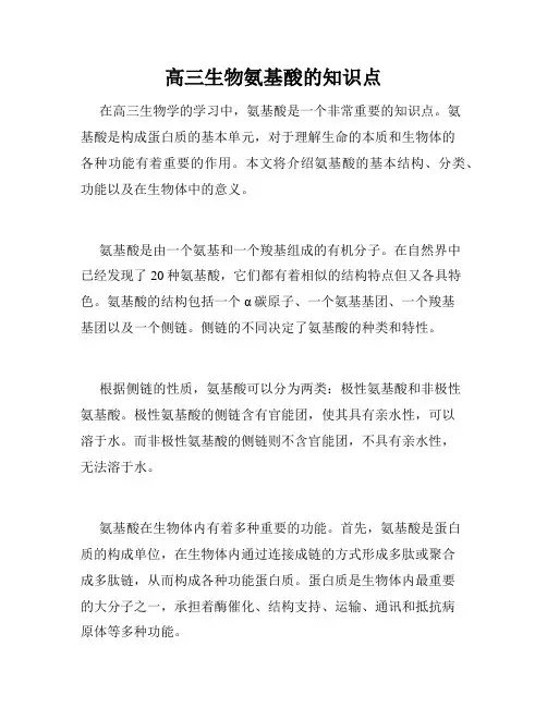 高三生物氨基酸的知识点