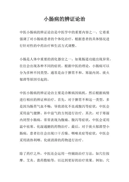 小肠病的辨证论治