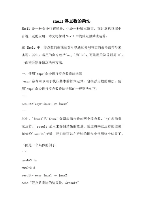 shell浮点数的乘法