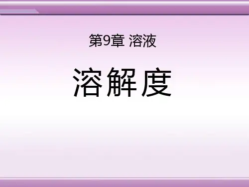 《溶解度》溶液PPT课件10
