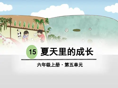 《夏天里的成长》(完美版)PPT课件