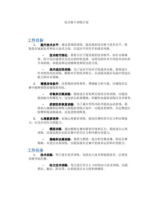 综合格斗训练计划