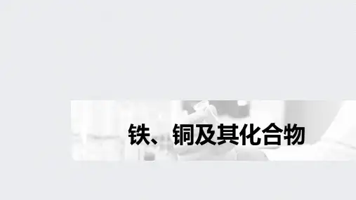 专题4 第三单元 铁、铜及其化合物