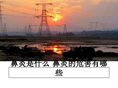最新鼻炎是什么 鼻炎的危害有哪些课件PPT