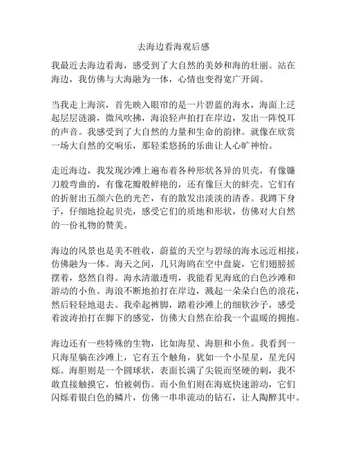 去海边看海观后感