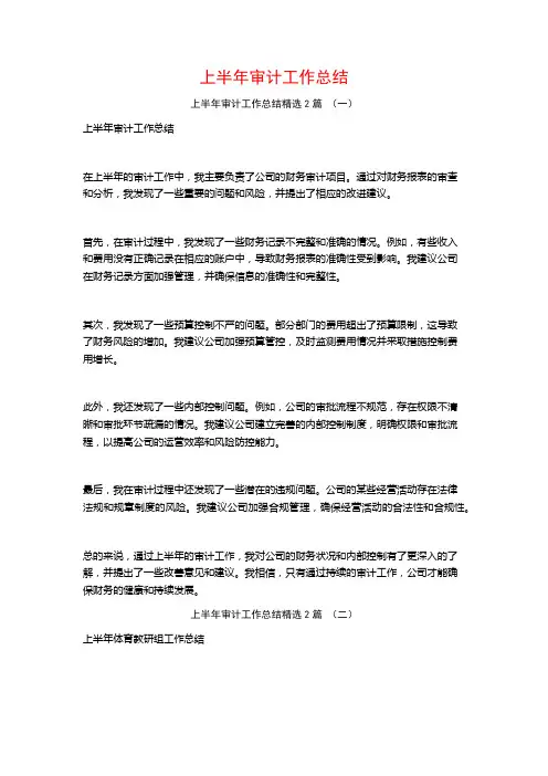 上半年审计工作总结2篇