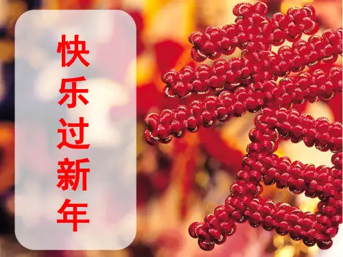 《快乐过新年》人教部编版道德与法治公开课课件1