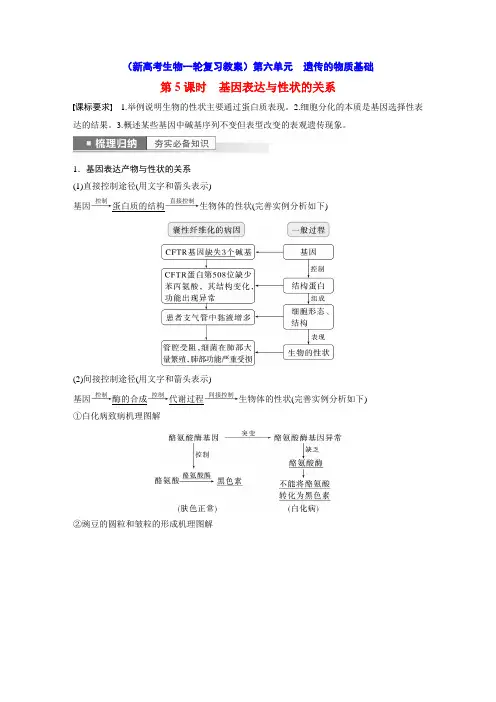 基因表达与性状的关系(新高考生物一轮复习教案)