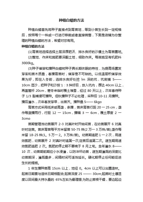 种植白蜡的方法