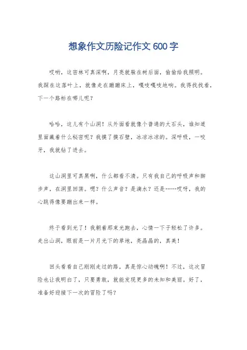 想象作文历险记作文600字