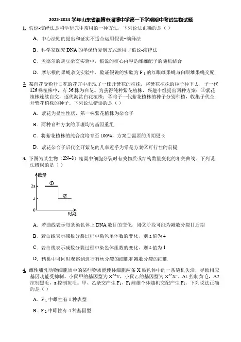 2023-2024学年山东省淄博市淄博中学高一下学期期中考试生物试题