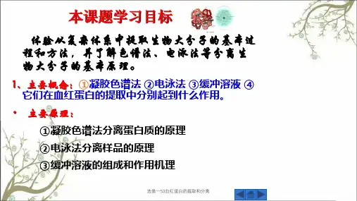 选修一53血红蛋白的提取和分离