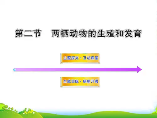 八年级生物上册 第四单元 第二章 第二节 两栖动物的生殖和发育课件 济南