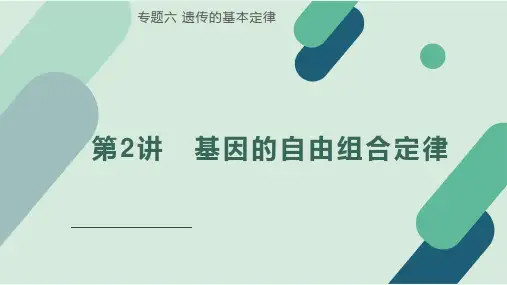 第2讲基因的自由组合定律(备考课件)-备战2025年高考生物一轮复习考点帮(全国通用)