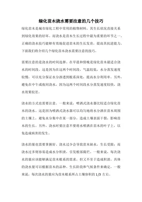 绿化苗木浇水需要注意的几个技巧