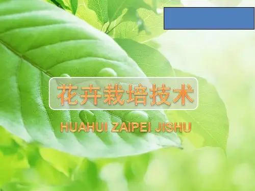 花卉栽培技术完整版全套ppt课件教程