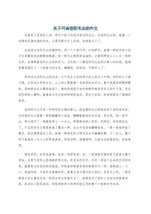 关于河南信阳毛尖的作文