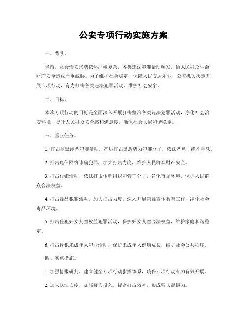 公安专项行动实施方案