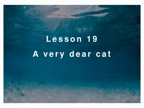 新概念英语第三册PPT课件：NCE3_lesson19(共27页)