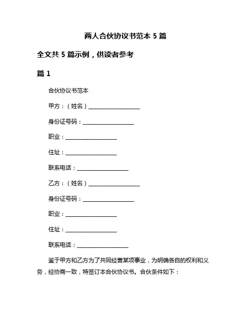 两人合伙协议书范本5篇
