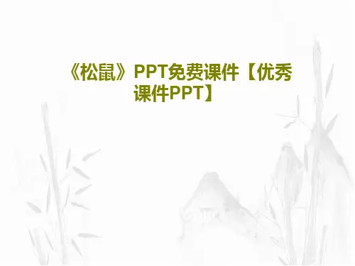 《松鼠》PPT免费课件【优秀课件PPT】共35页
