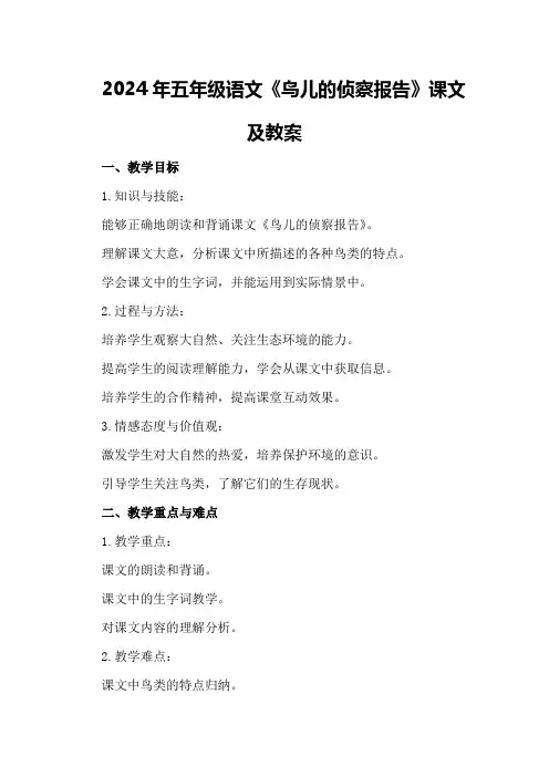 2024年五年级语文《鸟儿的侦察报告》课文及教案