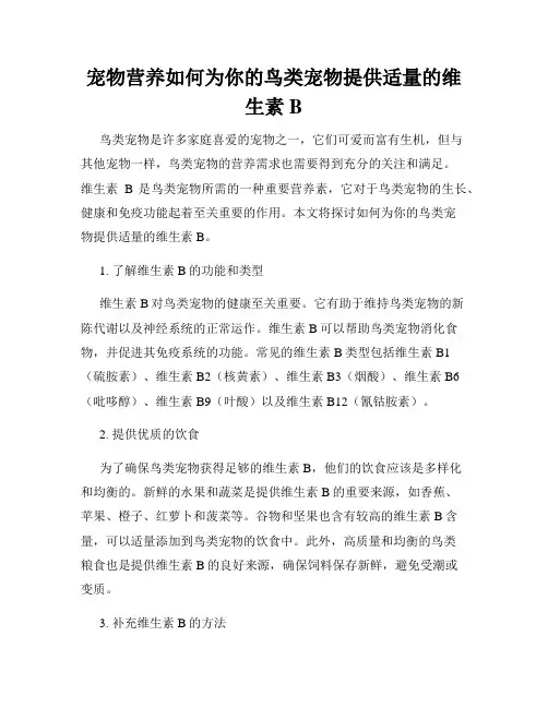 宠物营养如何为你的鸟类宠物提供适量的维生素B