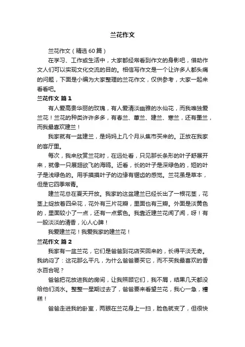 兰花作文（精选60篇）