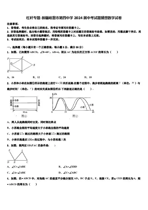 杠杆专题-新疆哈密市第四中学2024届中考试题猜想数学试卷含解析