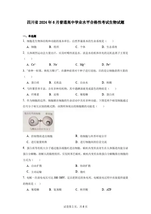 四川省2024年6月普通高中学业水平合格性考试生物试题