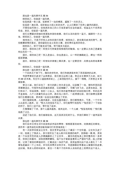 那也是一道风景作文一二