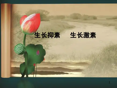 生长抑素  生长激素PPT演示课件