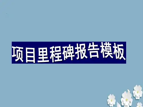 项目里程碑报告模板