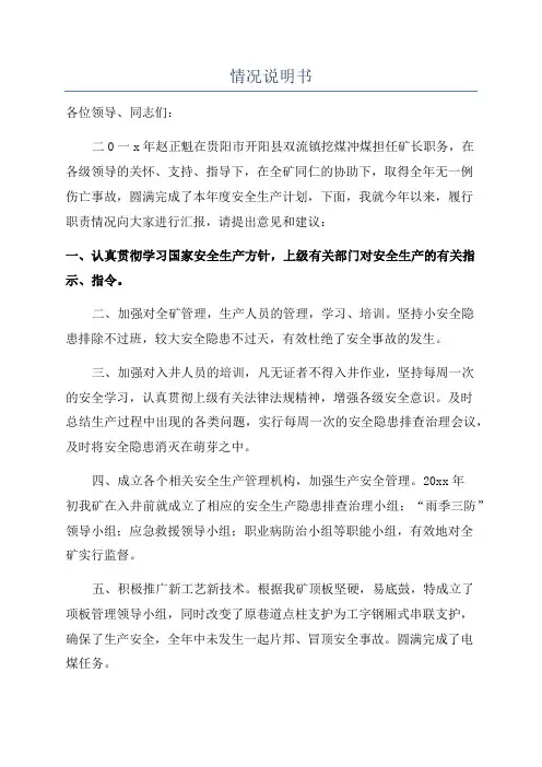 情况说明书