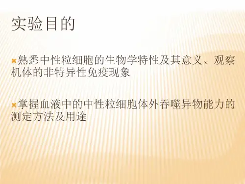 中性粒细胞吞噬功能测定_PPT幻灯片