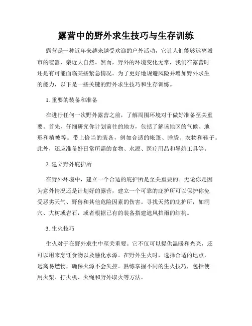 露营中的野外求生技巧与生存训练