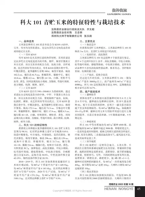 科大101_青贮玉米的特征特性与栽培技术