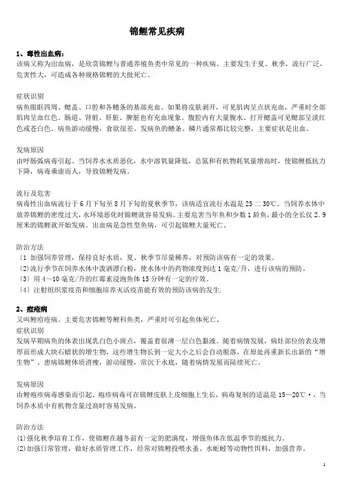 锦鲤常见疾病