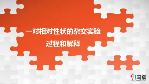 课件10：1.1.1 一对相对性状的杂交实验过程和解释