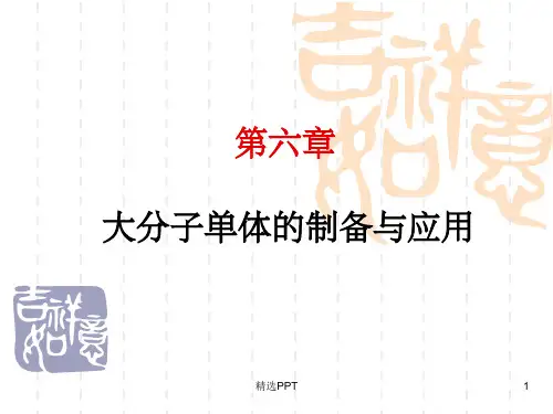 《大分子单体的制备》PPT课件