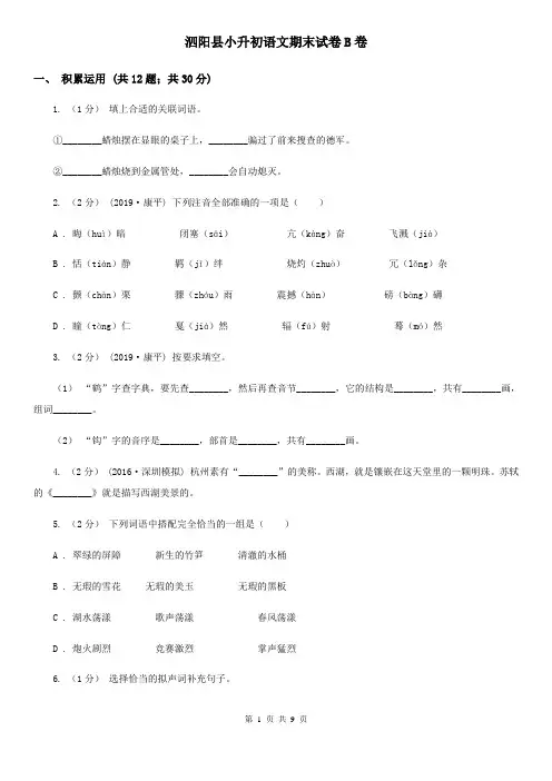 泗阳县小升初语文期末试卷B卷