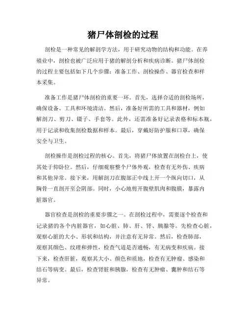 猪尸体剖检的过程