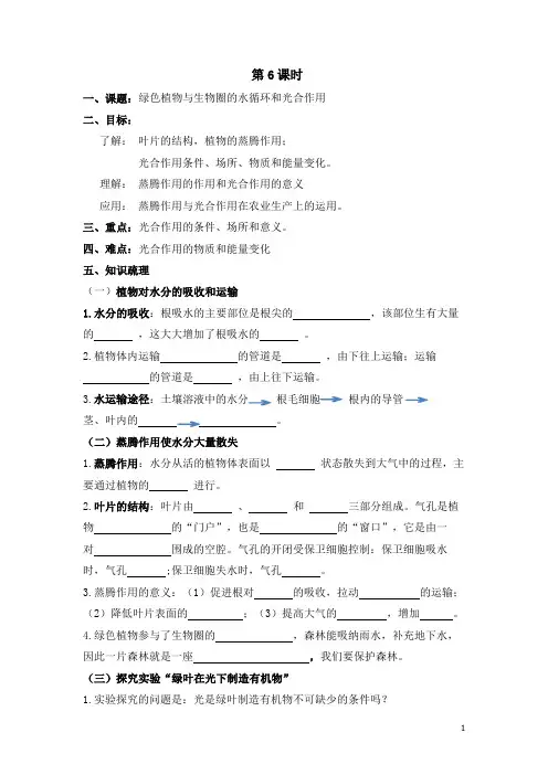 绿色植物与生物圈的水循环和光合作用