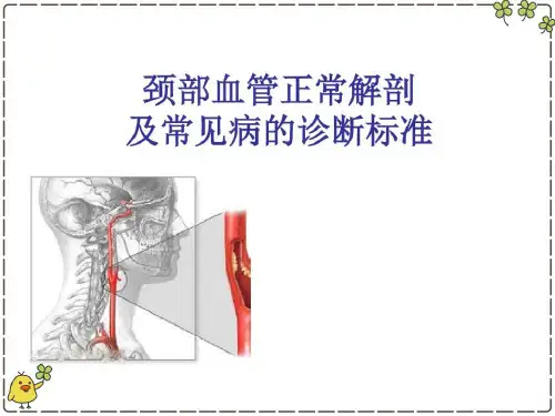 颈部血管解剖PPT幻灯片