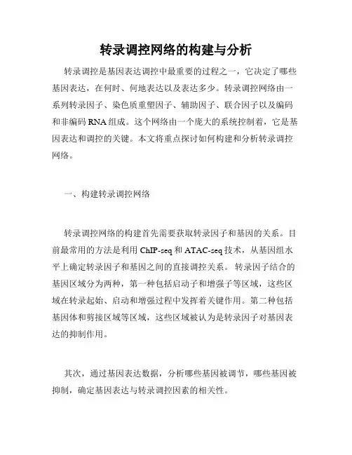 转录调控网络的构建与分析