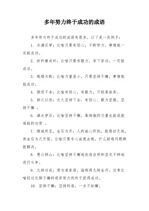 多年努力终于成功的成语