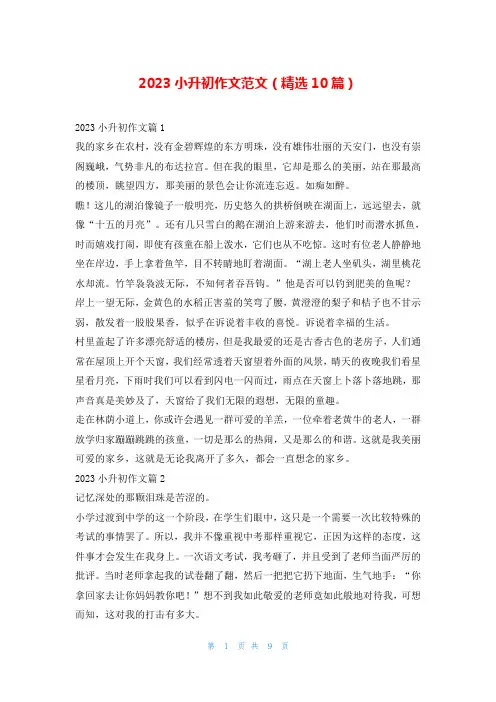 2023小升初作文范文(精选10篇)