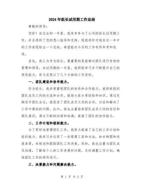 2024年组长试用期工作总结