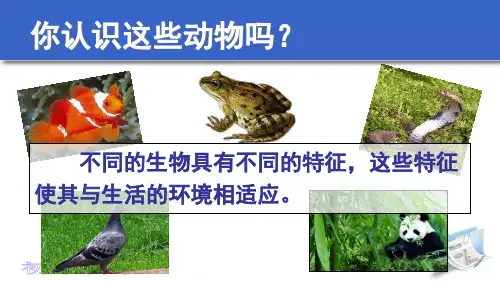 牛津上海版(五四学制)科学六年级上册 2.2  生物的多样性 课件  