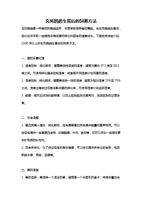 玄凤鹦鹉生蛋后的饲养方法